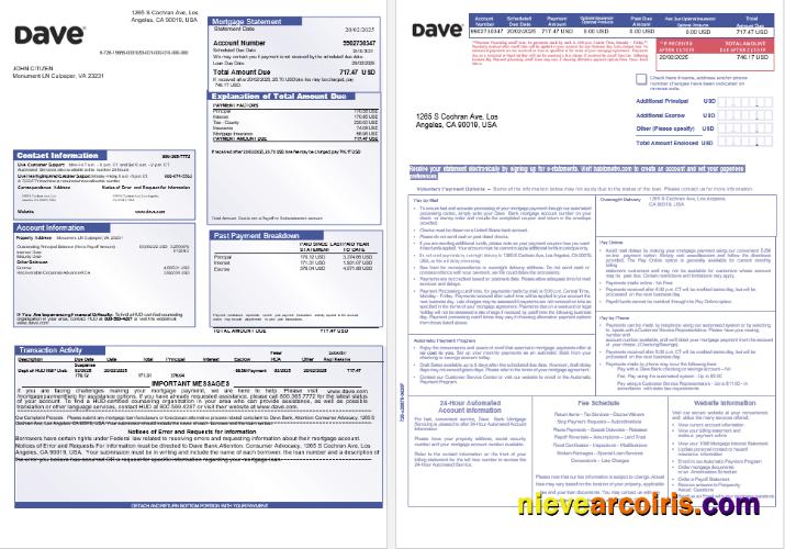 USA Dave bank mortgage statement, 3 pages 1-2